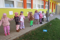 IMG_8125