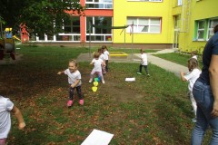 IMG_7919