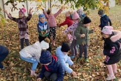 IMG_1636