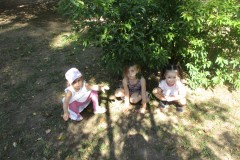 IMG_0769